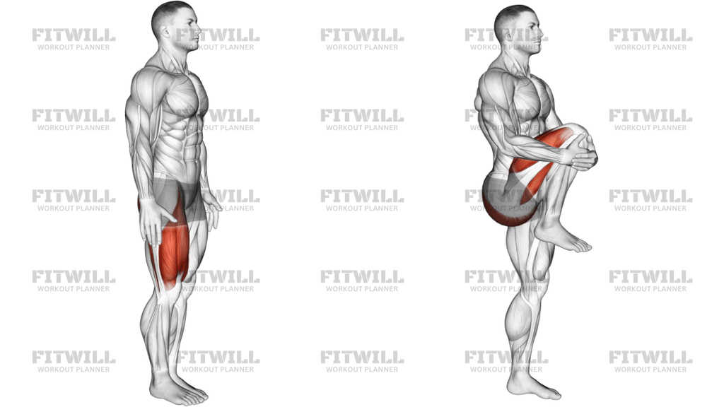 Knee Raise