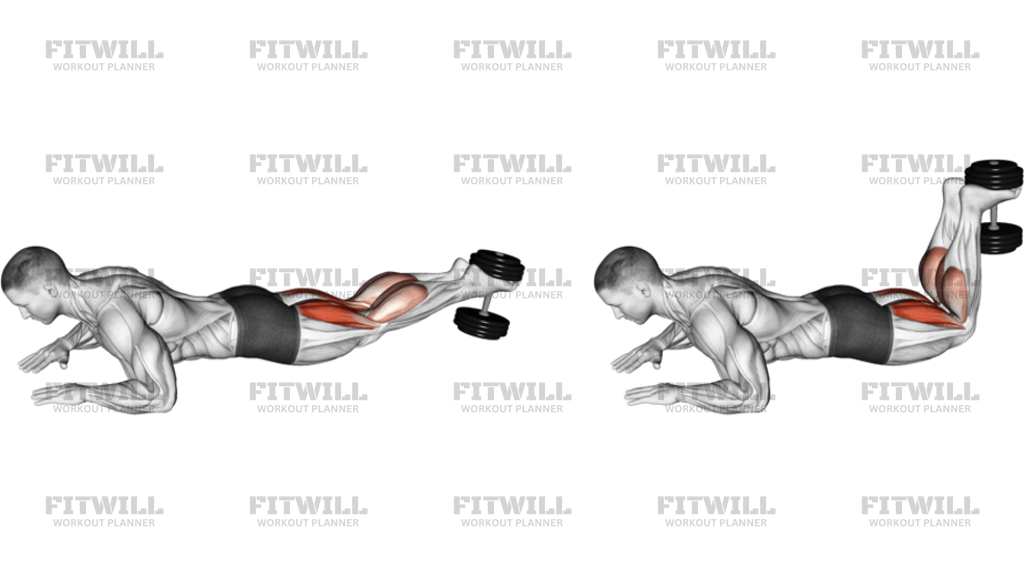 Dumbbell Lying Hamstring Curl