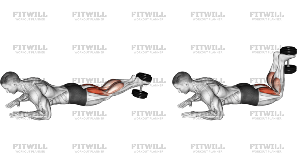 Dumbbell Lying Hamstring Curl