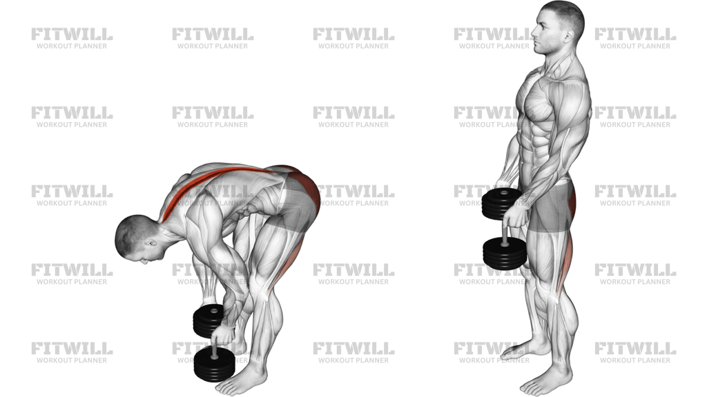 Dumbbell Straight Legs Deadlift