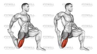 Quadriceps Stretch