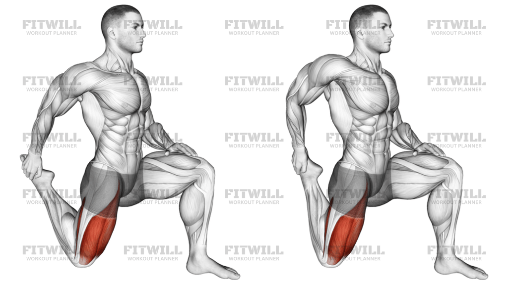 Quadriceps Stretch