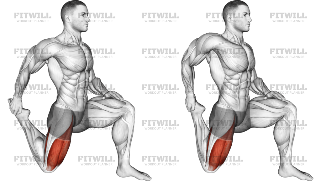 Quadriceps Stretch