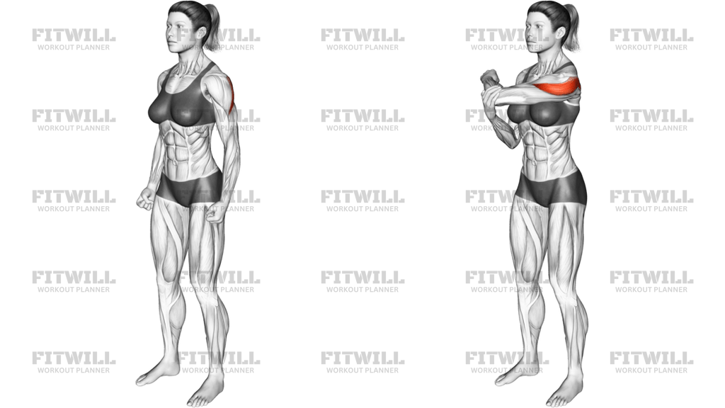 Rear Deltoid Stretch