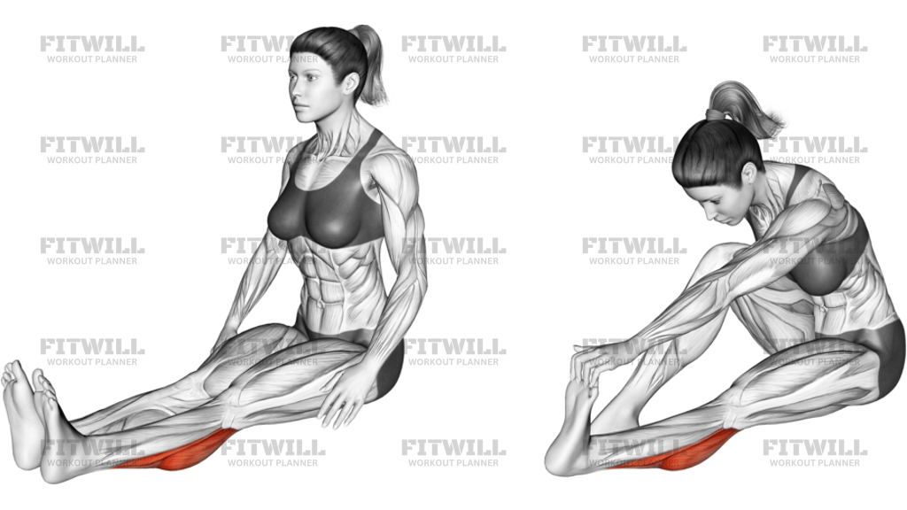 Seated Calf Stretch