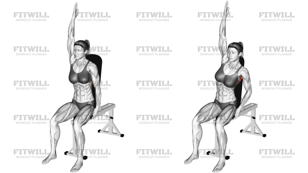 Seated Lower Back Stretch