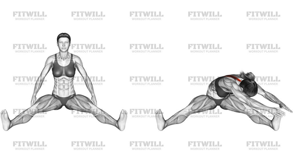 Seated Wide Angle Pose Sequence