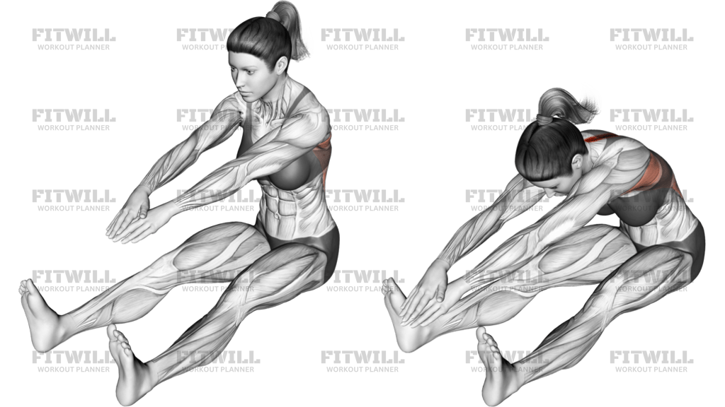 Sitting Bent-Over Back Stretch