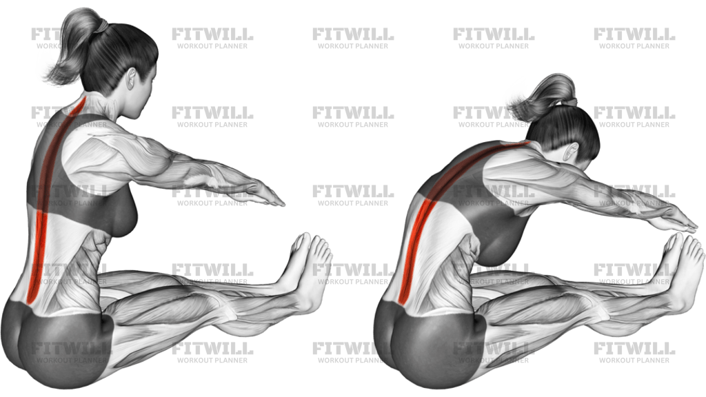 Spine Stretch