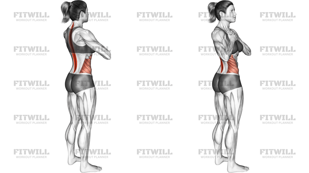 Standing Back Rotation Stretch