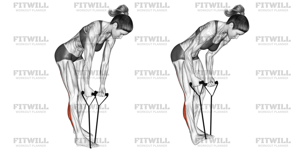 Standing Hamstring And Calf Stretch With Starp: Exercise Guide, Video ...