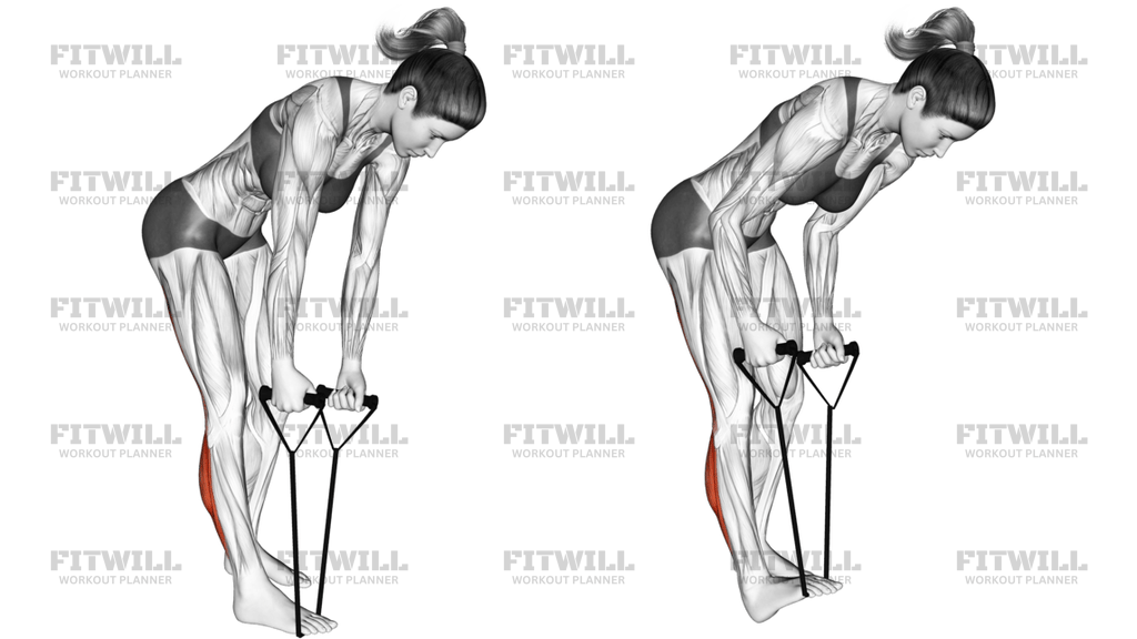 Standing Hamstring And Calf Stretch With Starp