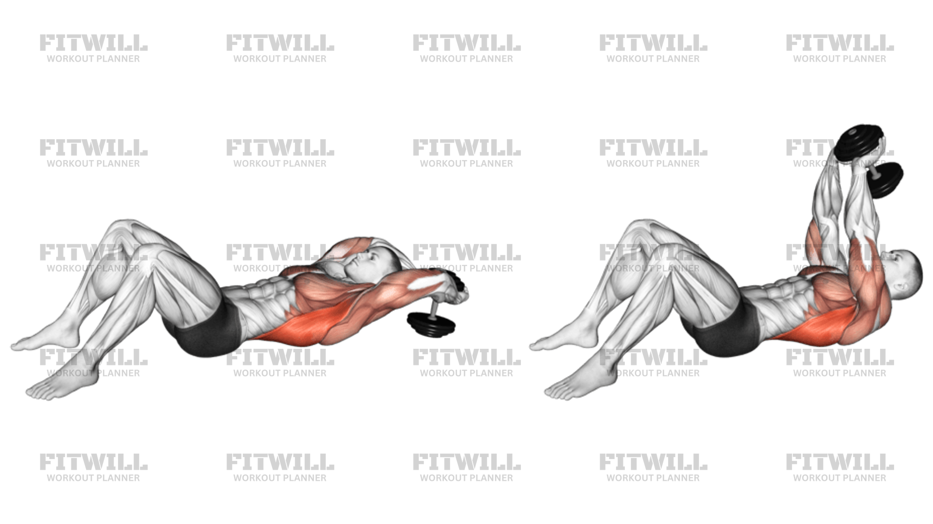 Dumbbell Pullover On Floor Exercise Guide Video Techniques Benefits How to Muscles Worked Tips Tricks Fitwill