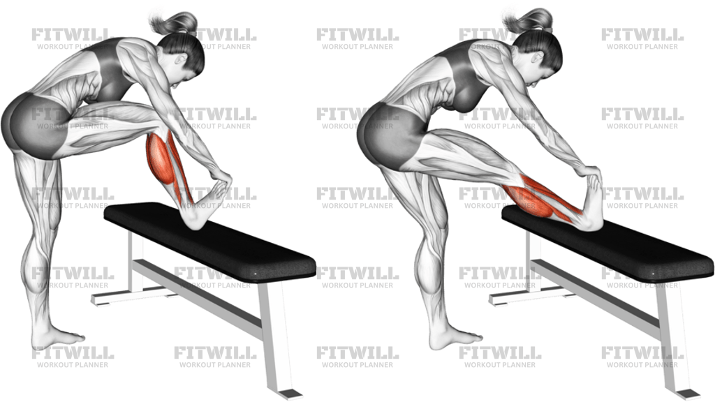 Standing Gastrocnemius Calf Stretch