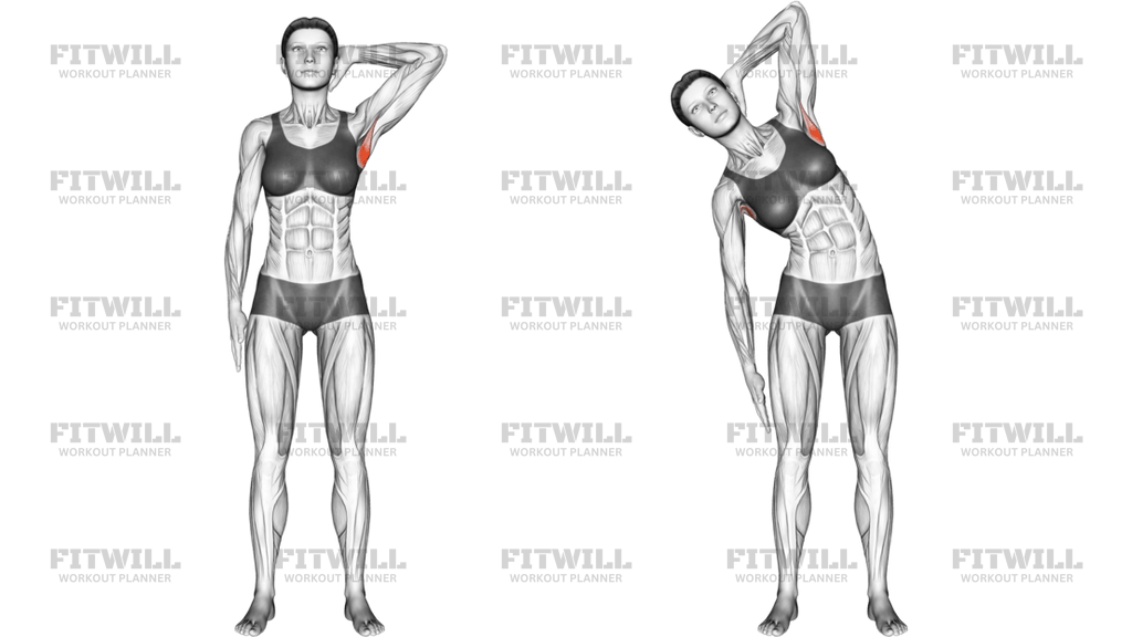 Standing Lateral Stretch