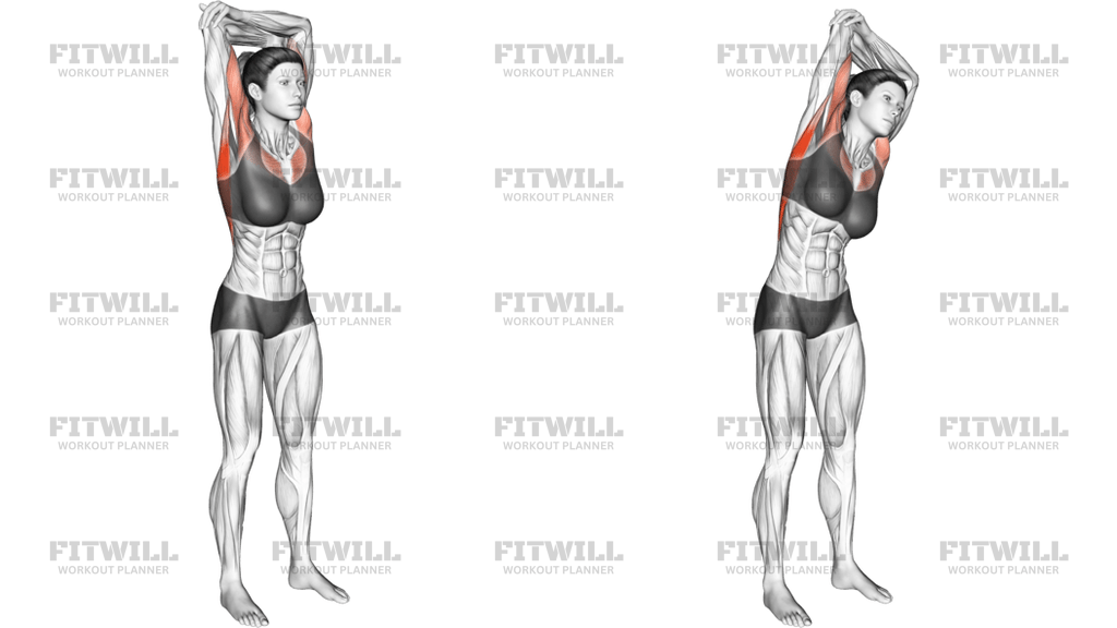 Standing Reach Up Back Rotation Stretch