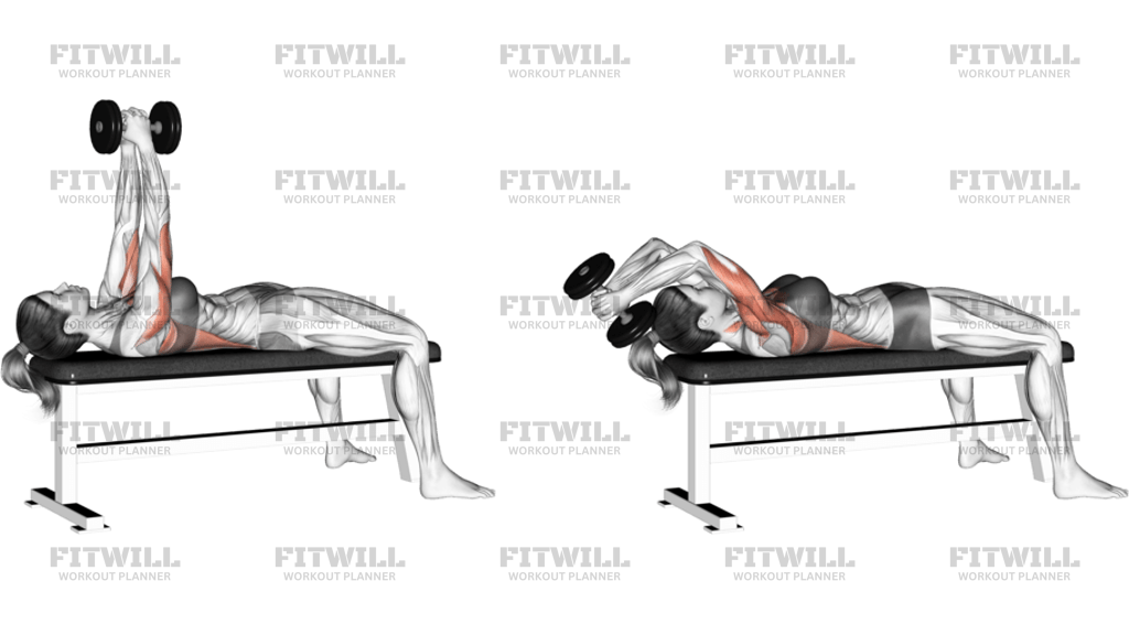 Dumbbell Bent Arm Pullover