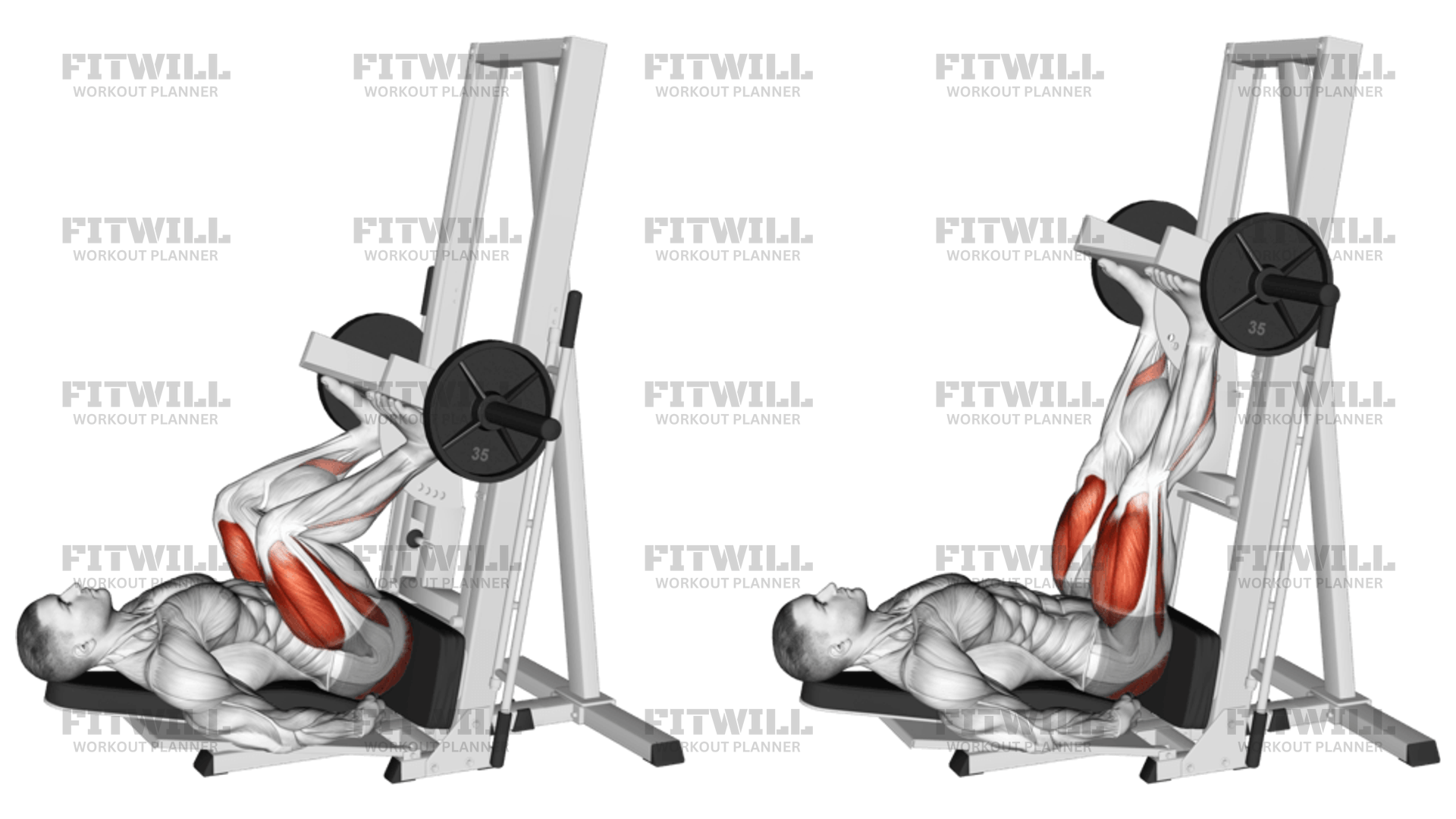 Sled Vertical Leg Press: Exercise Guide, Techniques, Benefits, How to ...