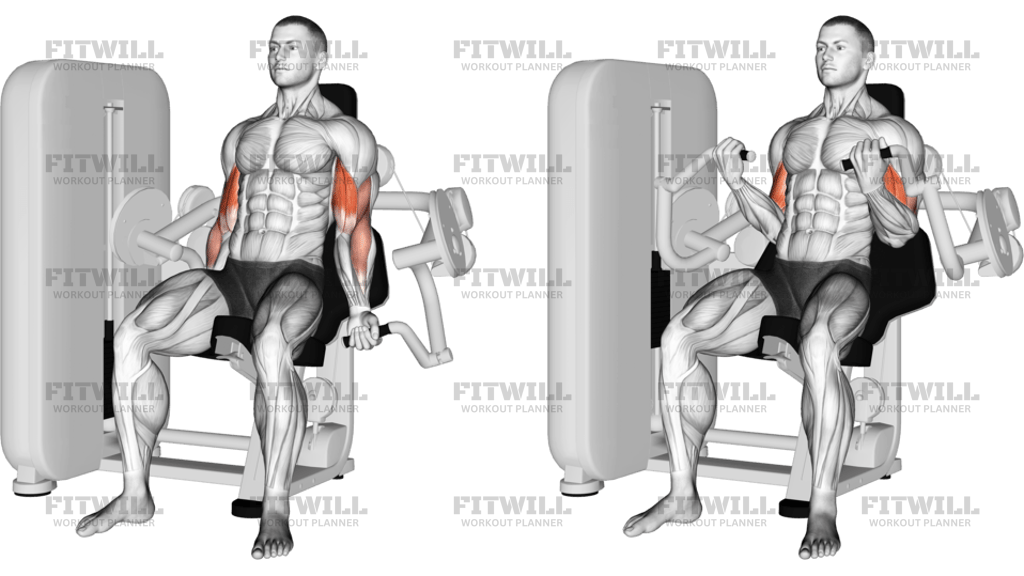 Lever Biceps Curl