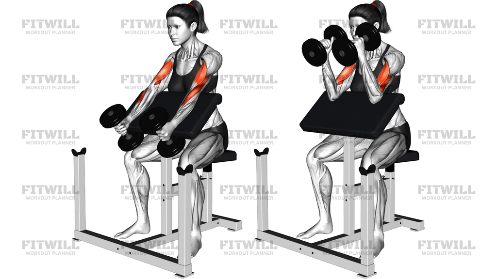Dumbbell Hammer Preacher Curl