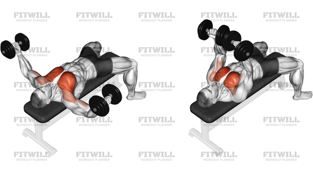 Dumbbell Twisted Fly
