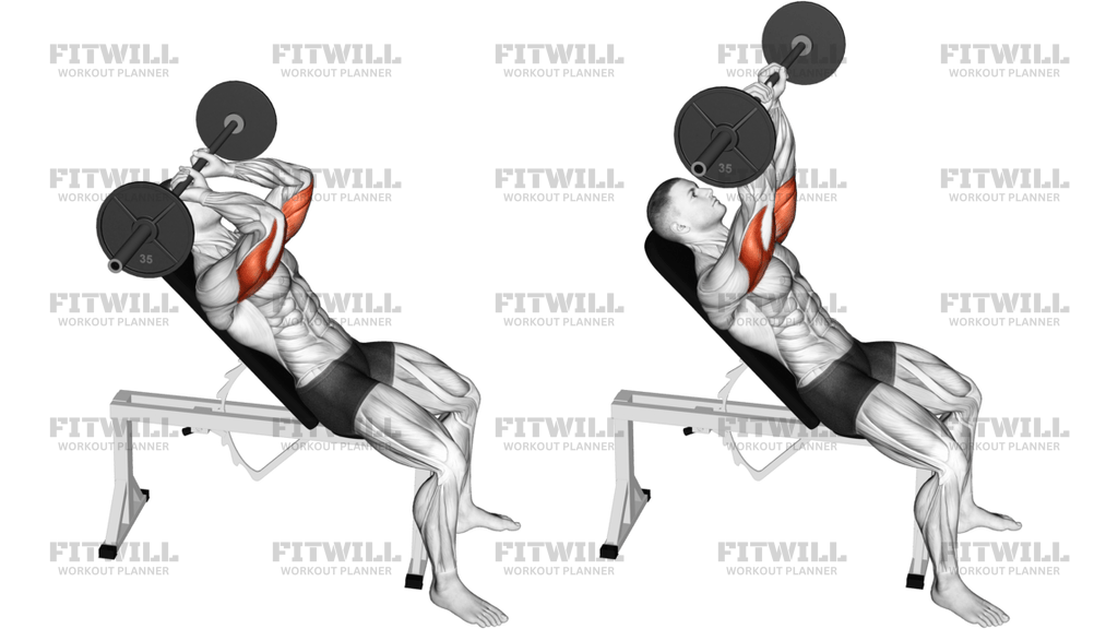 Barbell Incline Triceps Extension Skull Crusher