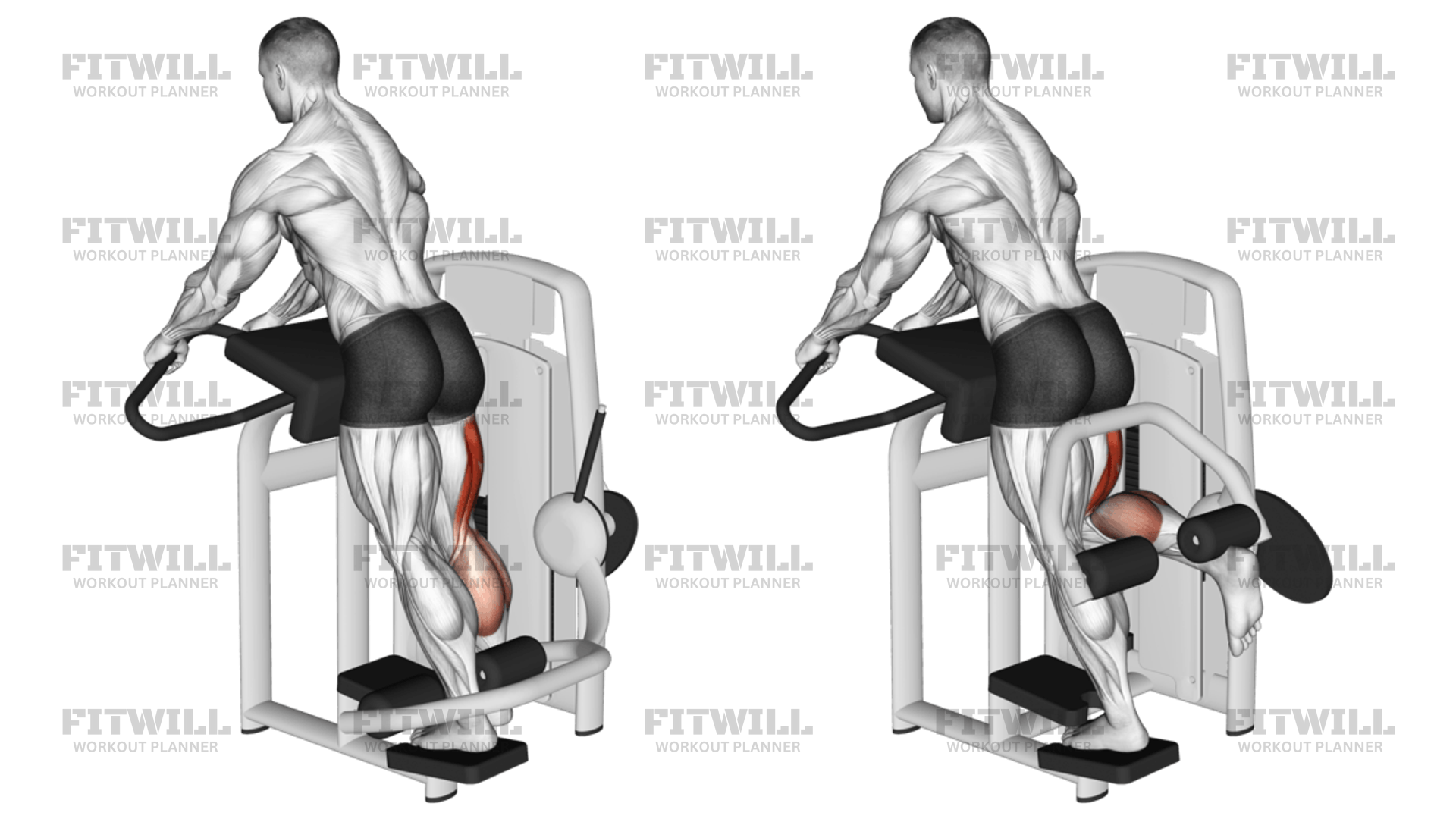 Single leg standing leg curl deals