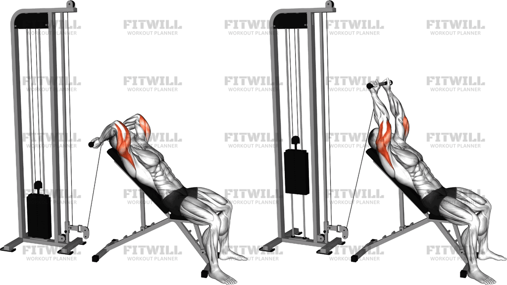 Cable Incline Skull Crusher