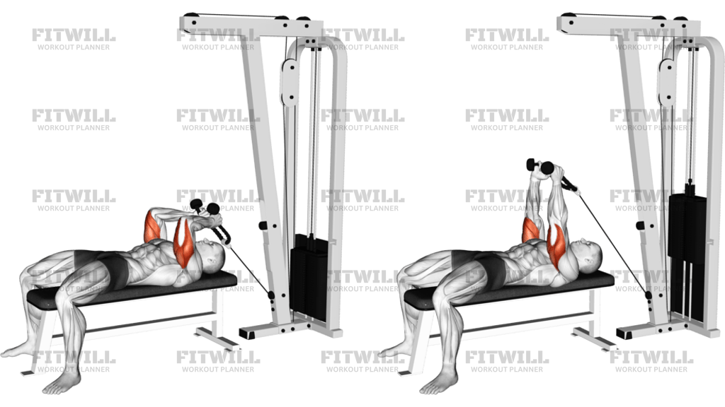 Cable Rope Lying Triceps Extension
