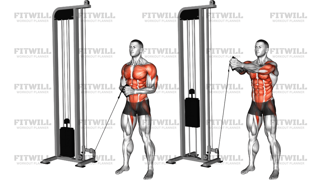 Cable Horizontal Pallof Press Version 2