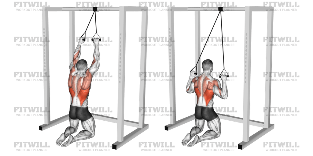 Band Kneeling Lat Pulldown: Exercise Guide, Video, Techniques, Benefits ...