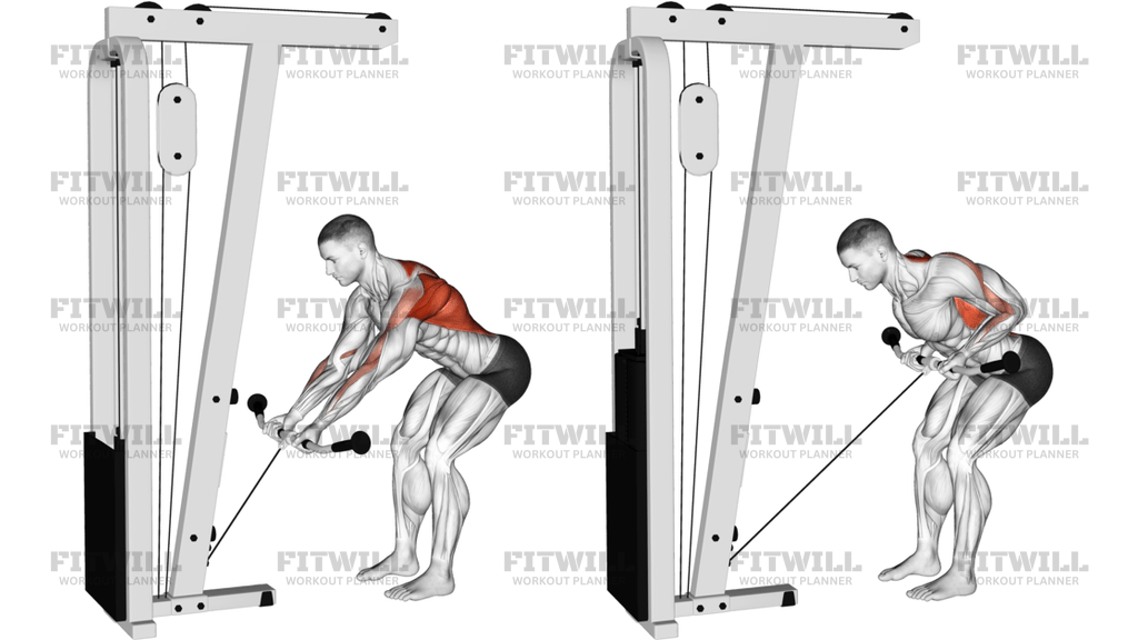 Cable Bent-Over Reverse-Grip Row