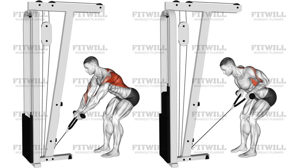 Cable Bent-Over Row With Rope Attachment