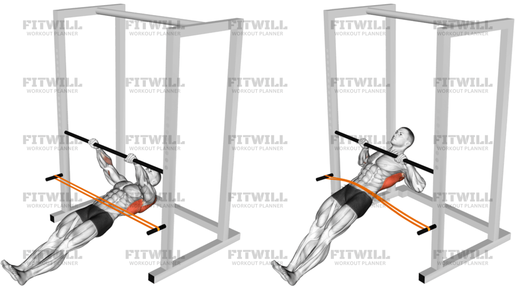 Resistance Band Inverted Row