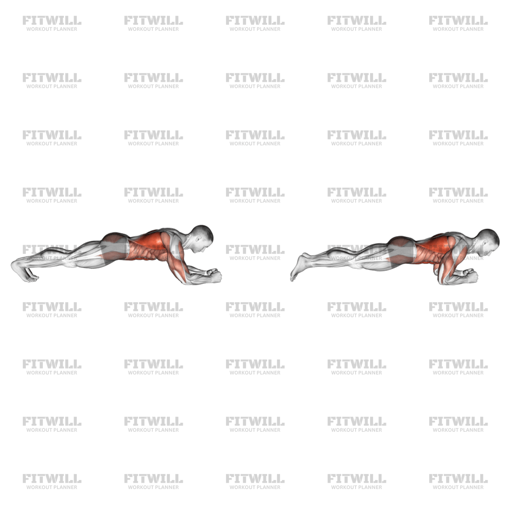 Body Saw Plank Exercise Video Fitwill