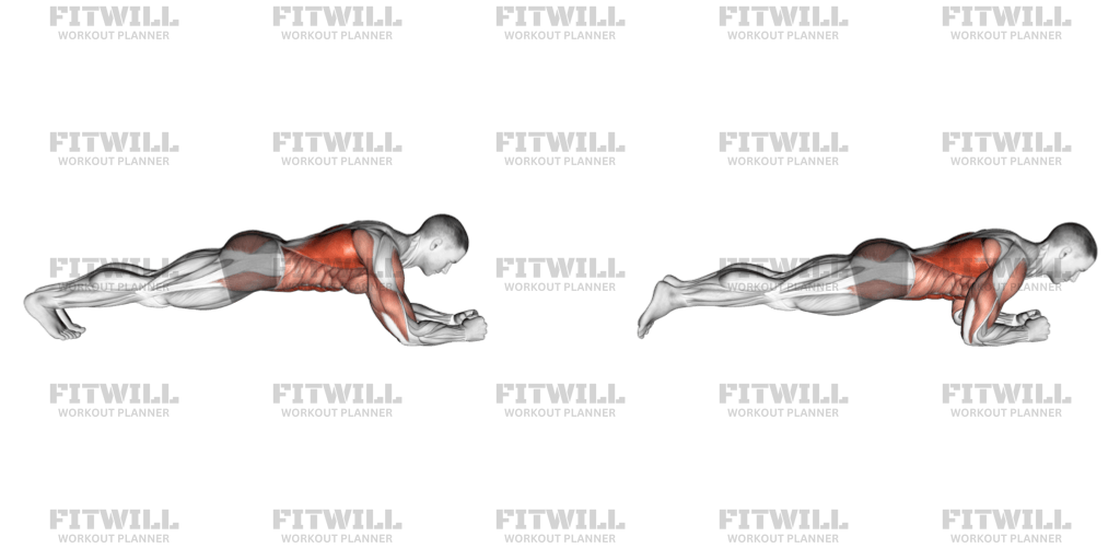 Body Saw Plank Exercise Video Fitwill