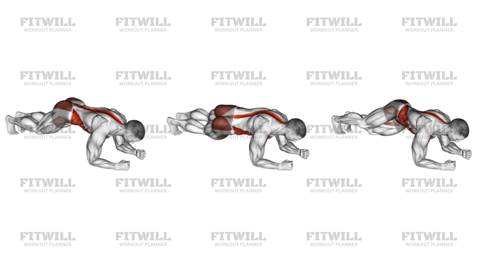Hip Roll Plank Exercise Guide Video Techniques Benefits How to Muscles Worked Tips Tricks Fitwill
