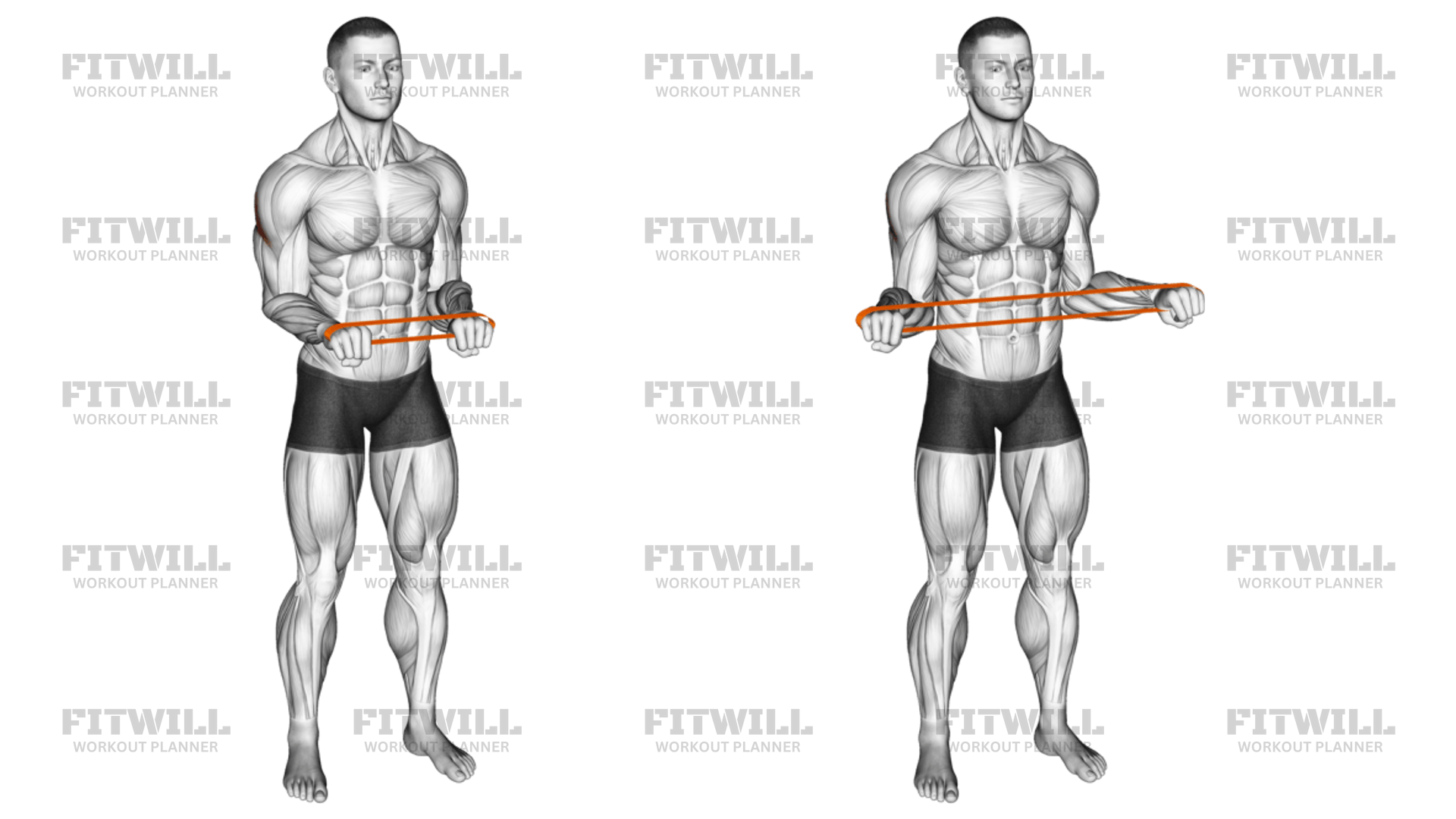 Separación Con Banda De Resistencia (pronación A 90 Grados): Guía de ...
