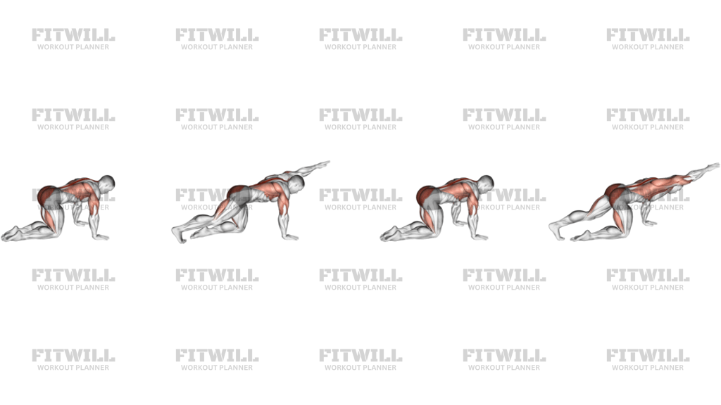 Sliding Leg Bird Dog