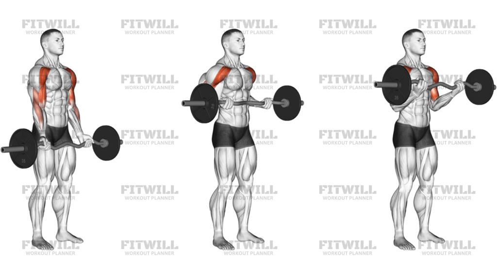 EZ-Bar Drag Bicep Curl