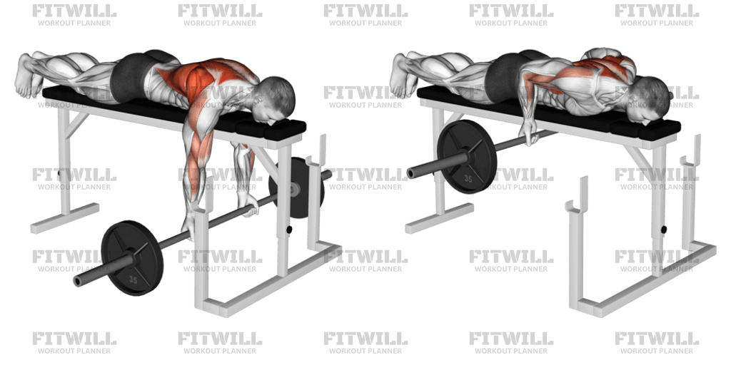 Barbell Lying Close-Grip Underhand Row On Rack: Exercise Guide, Video ...
