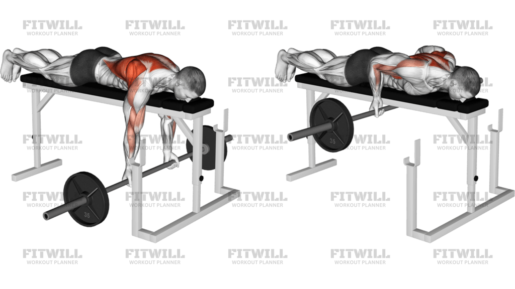 Barbell Lying Close-Grip Underhand Row On Rack