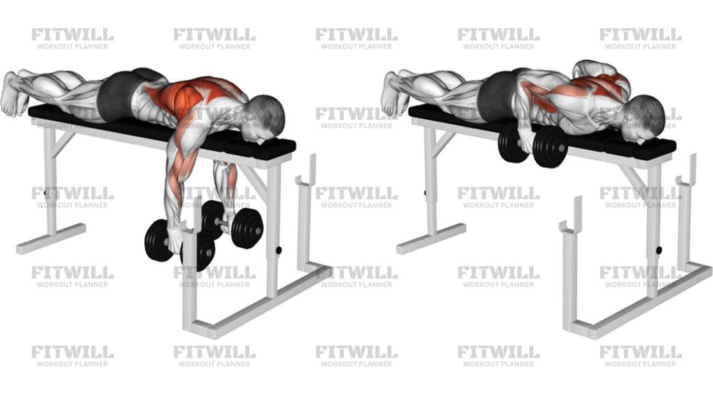 Dumbbell Lying Close-Grip Parallel Row On Rack: Exercise Guide ...