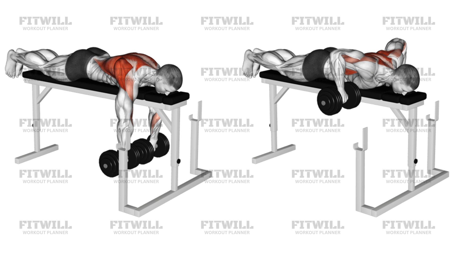 Dumbbell Lying Wide-Grip Row On Rack: Exercise Guide, Techniques ...
