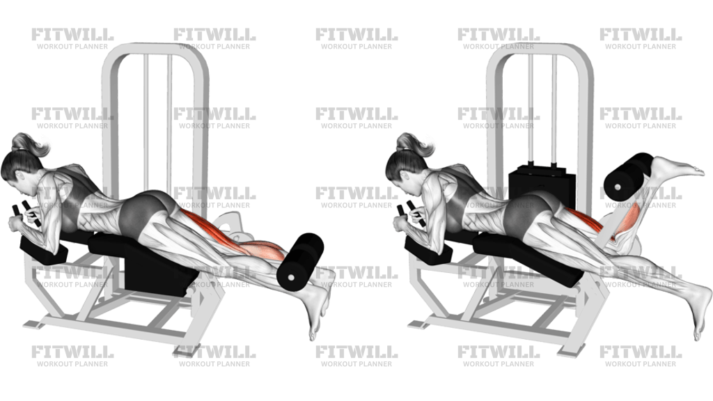 Lever Lying Single Leg Curl