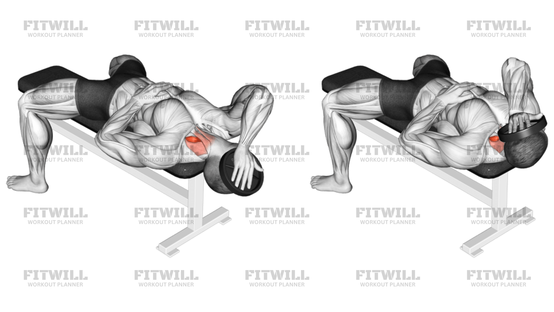 Weighted Lying Side Neck Raise Exercise Guide Techniques Benefits How to Muscles Worked Tips Tricks Fitwill