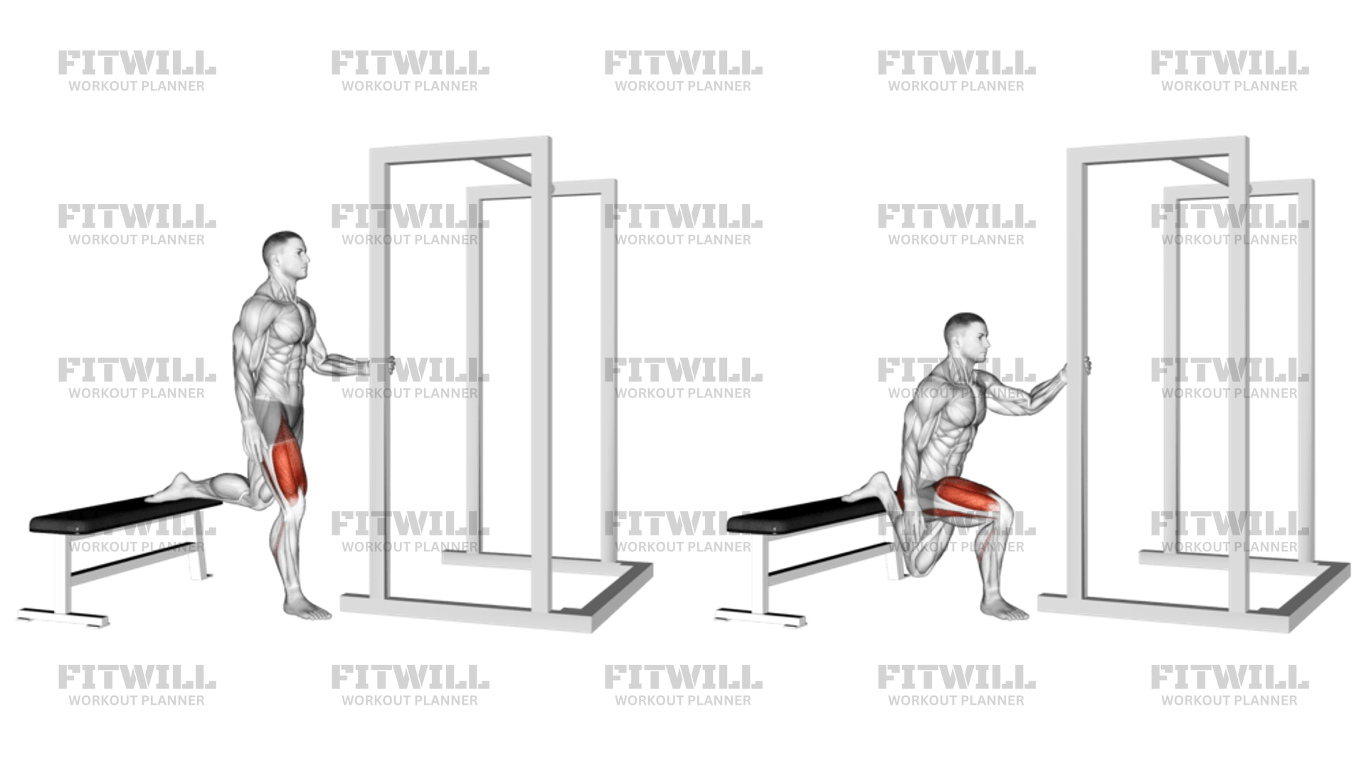 Assisted Bulgarian Split Squat Exercise Guide Video Techniques Benefits How to Muscles Worked Tips Tricks Fitwill