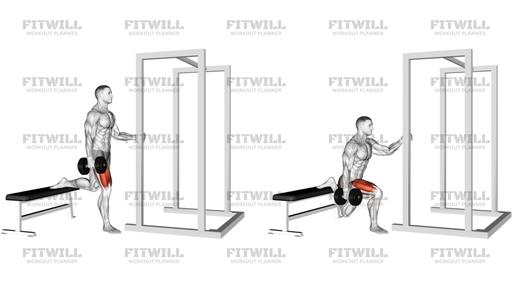 Dumbbell Assisted Bulgarian Split Squat