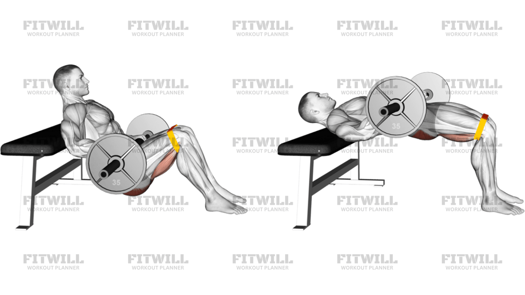 Barbell Resistance Band Hip Thrust