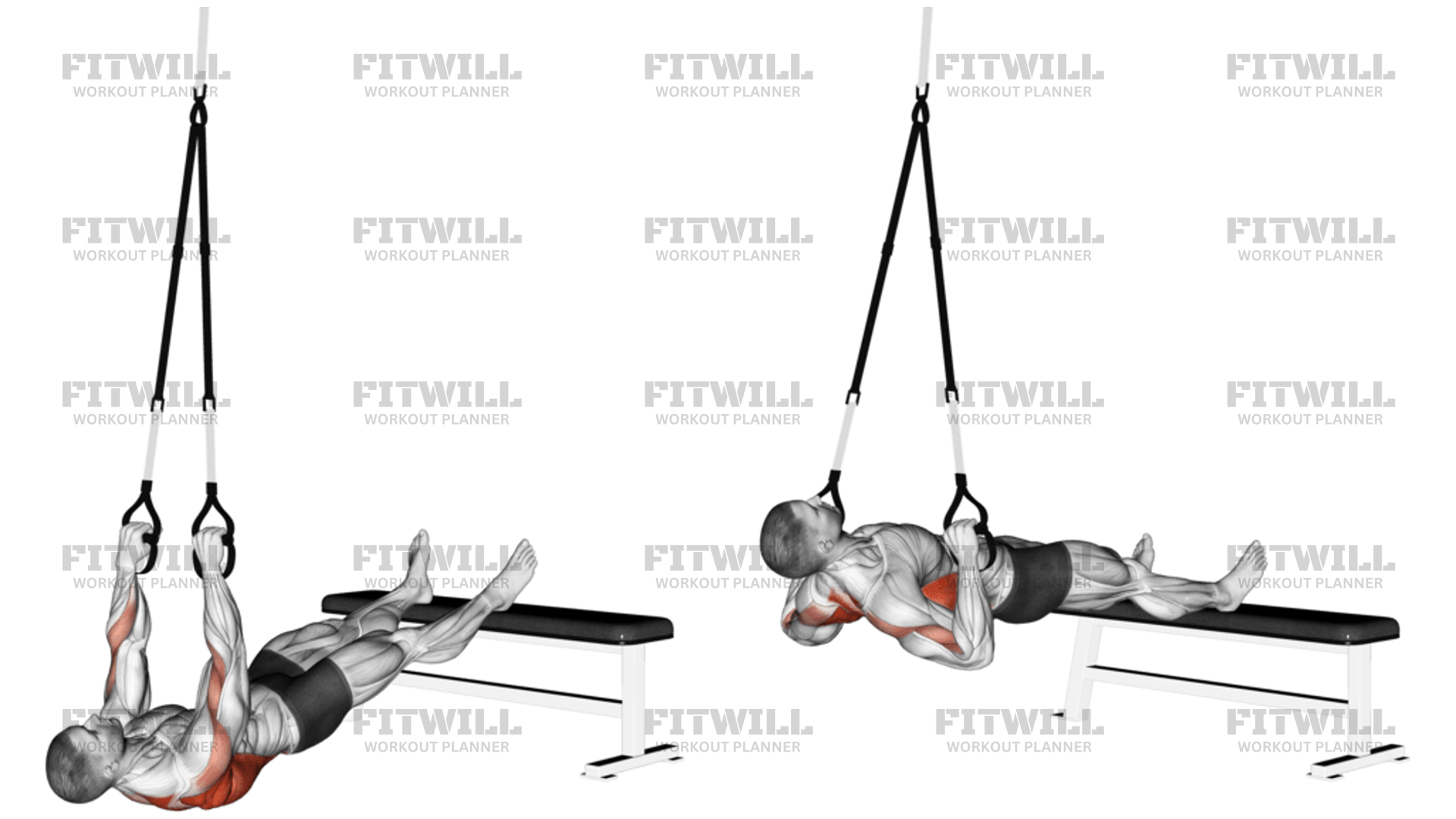 Suspender Wide Grip Inverted Row: Exercise Guide, Video, Techniques ...